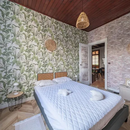 Maison Charmante Climatisee, Animaux Ok - 4 Pers. - Fr-1-319-650 * Parentis-en-Born